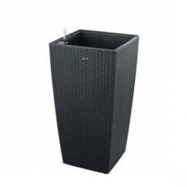 G21 samozavlažovací Linea ratan big černý 39cm černý