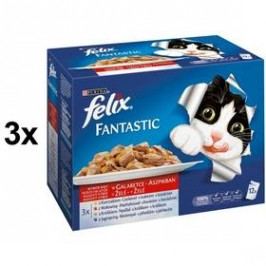 Felix Fantastic masový výběr 3 x (12 x 100g)