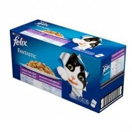 Felix Fantastic lahodný výběr Multipack 44 x 100 g