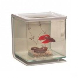 Hagen Betta plast Marina Kit Contemporary 2l plast